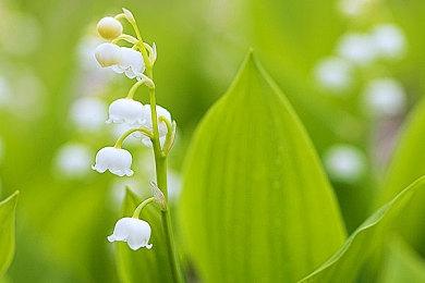 《星空》与《无人深空》对比视频 星球间飞行差别大